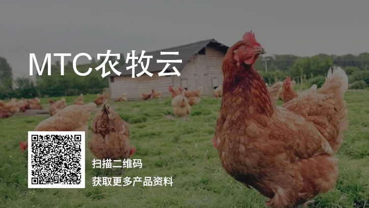 智慧雞場(chǎng),雞場(chǎng)管理系統(tǒng),養(yǎng)雞軟件,養(yǎng)殖管理系統(tǒng),農(nóng)牧養(yǎng)殖系統(tǒng),SAP農(nóng)牧