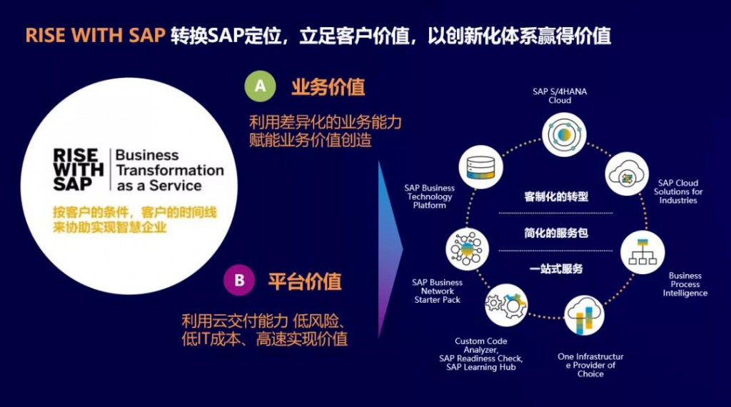 rise with sap