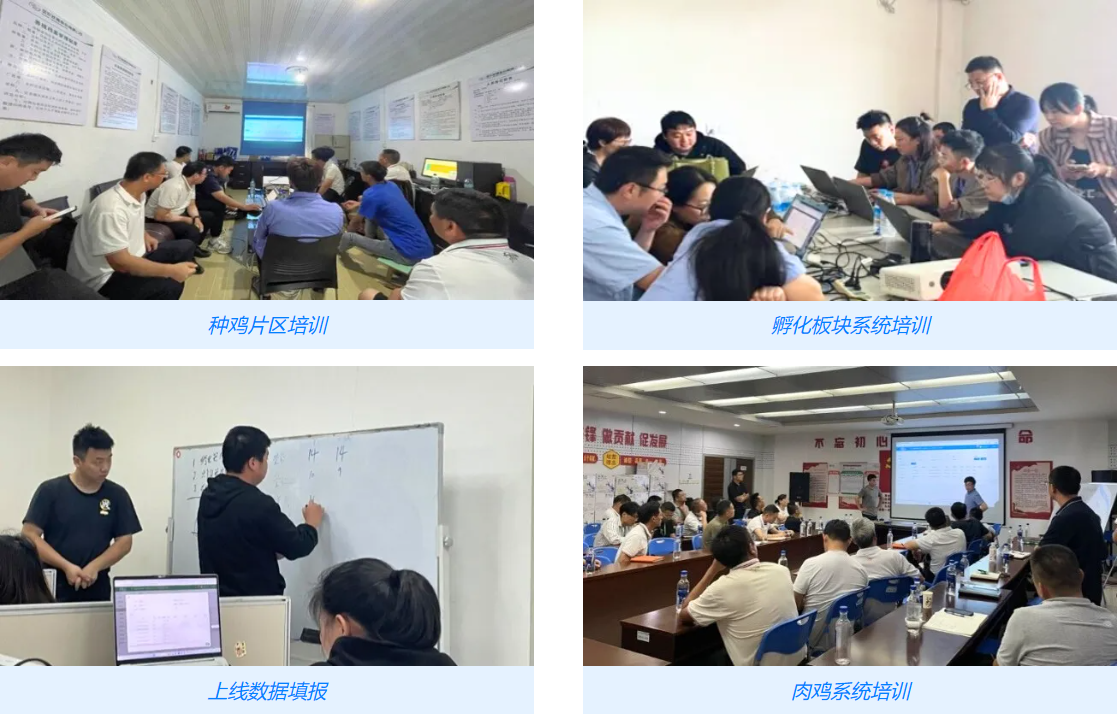 圣農SAP ERP及智慧農場養(yǎng)殖系統(tǒng)培訓